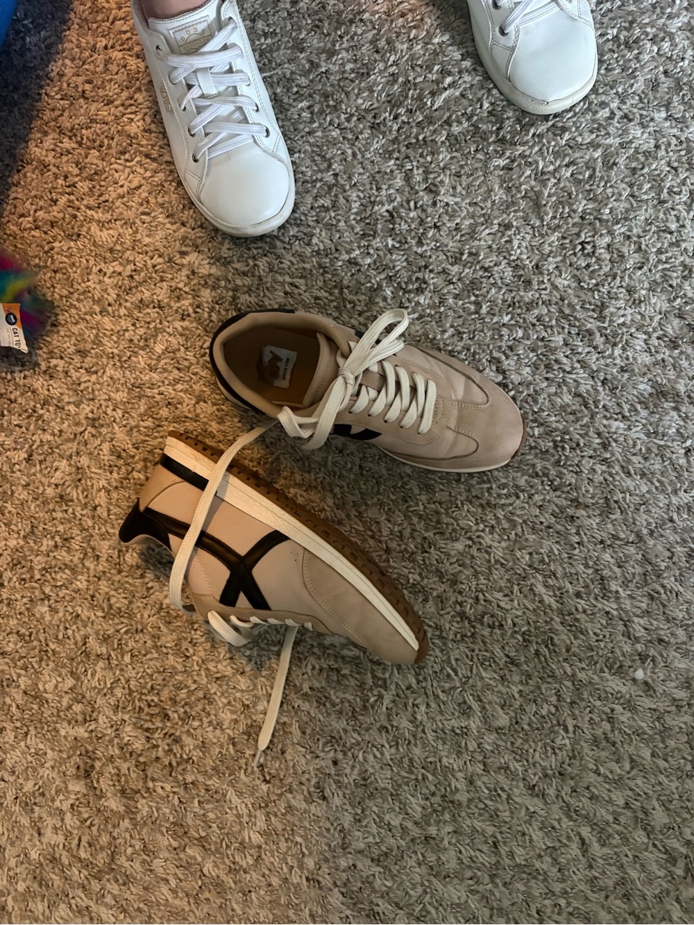Dolce Vita Beige and Black Retro Trainer Sneakers